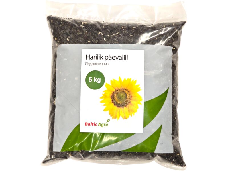 Päevalill 5 kg