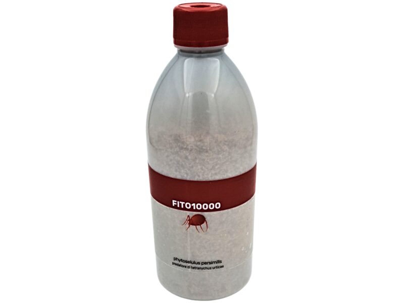 Röövlest Phytoseiulus persimilis 10000 tk