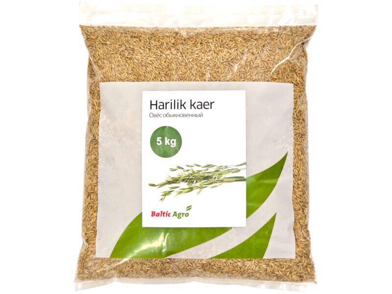 Kaer