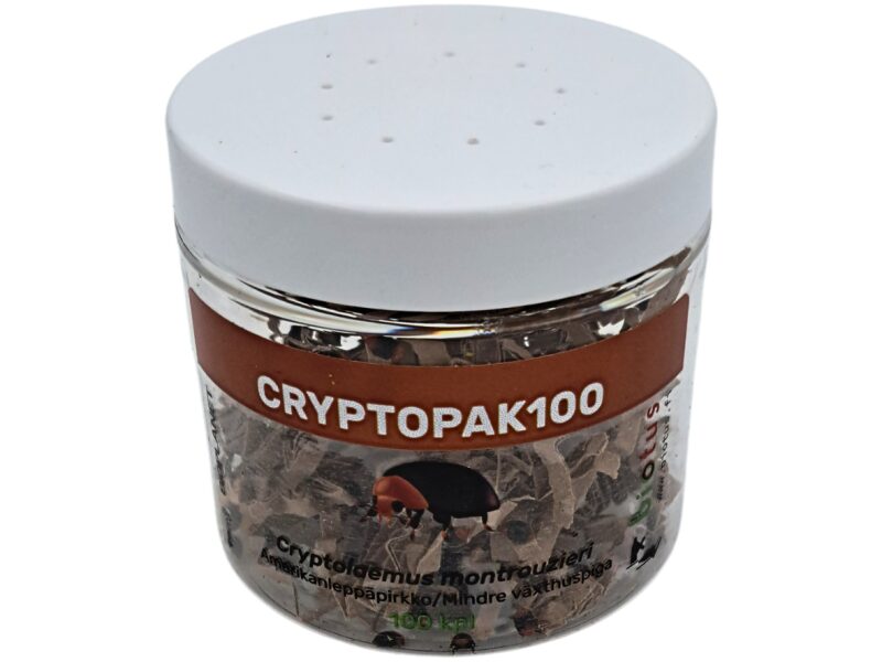 Lepatriinu C. montrouzieri 100 tk