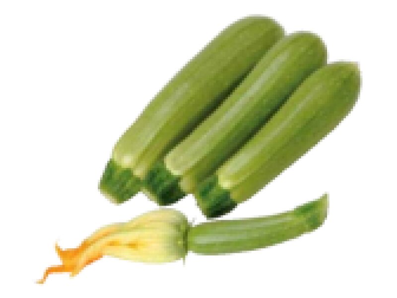 Suvikõrvits ´Suha´ 1000 s