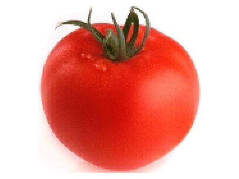 Tomat Petula 100 s