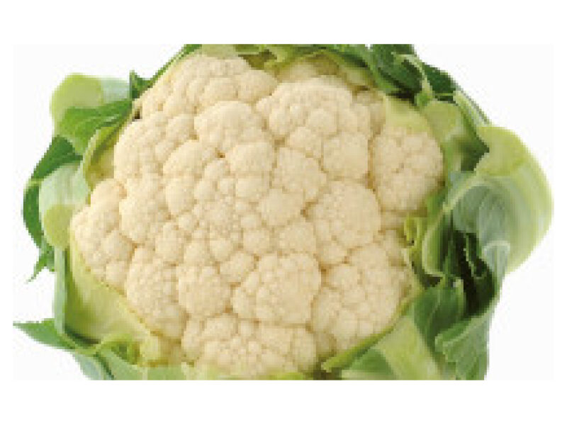 Lillkapsas ´Atalaya´ 2500 s