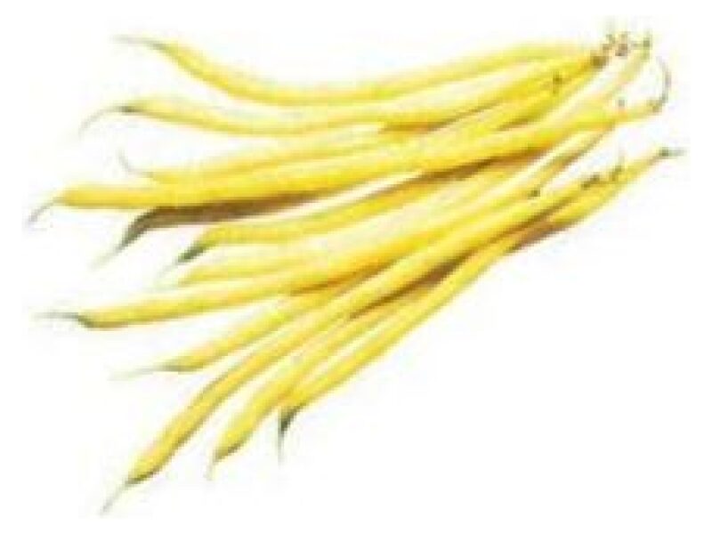 Aeduba ´Fruidor´ 5000 s