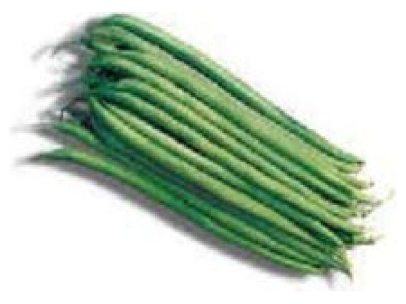 Aeduba ´Argus´ 5000 s