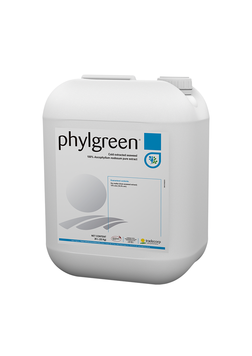 Phylgreen 20 l