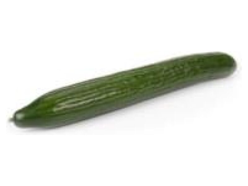 Pikk kurk Winmar 100 s