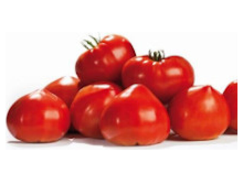 Tomat ´Gourmandia´ 250 s