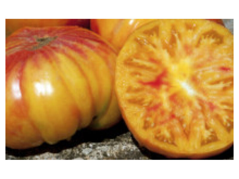 Tomat ´Ananas´ 250 s