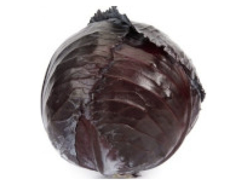 Punane kapsas ´Rexoma´ 2500 s