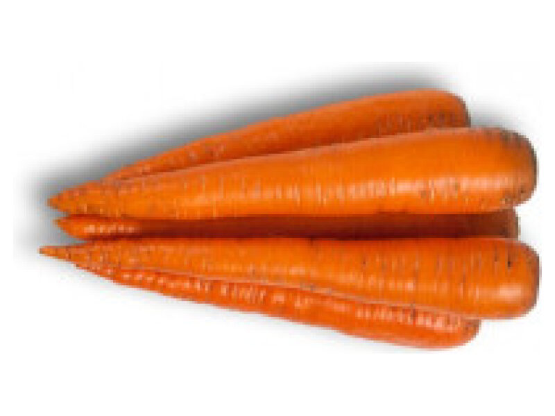 Porgand ´Trafford´