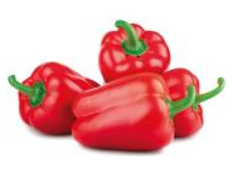 Puhtimata paprika  Adige 500 s