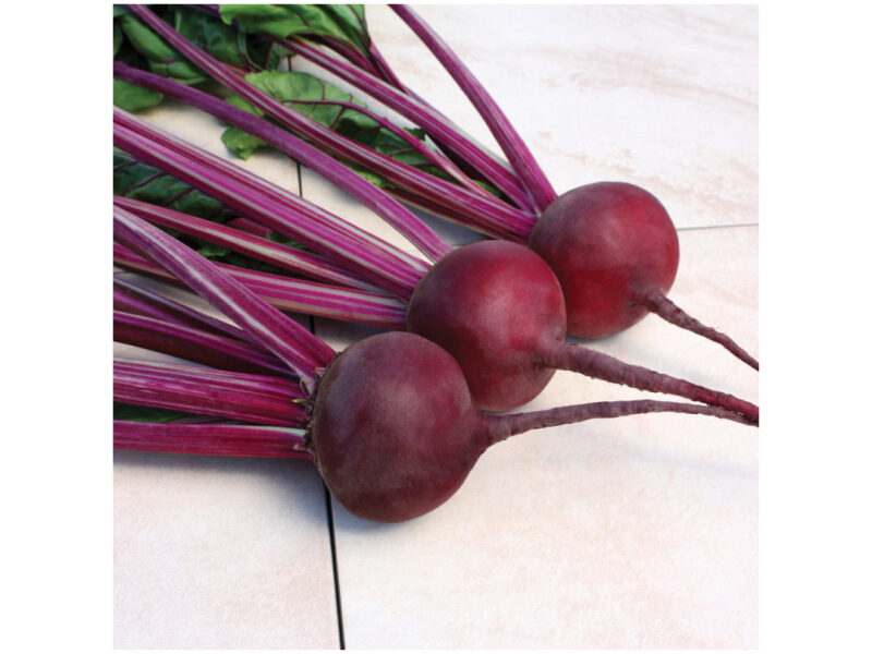 Peet Aurora 50 000 s