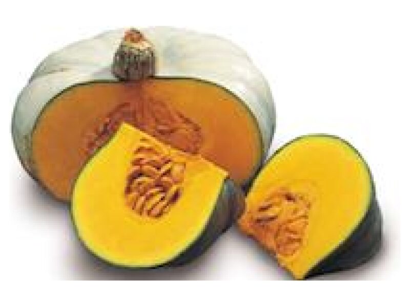 Kõrvits Crown Prince 500 s