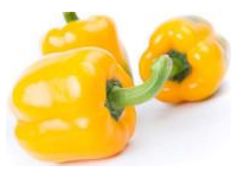 Paprika Ilanga 100 s