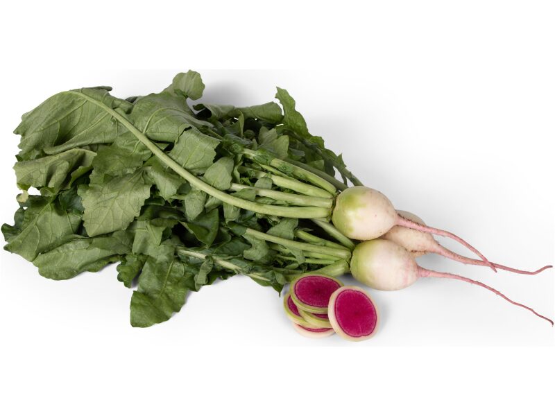 Redis Daikon Misto Rose Fresh 10 000 s