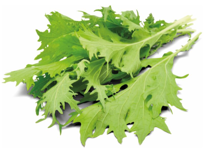 Mizuna CN Mizuna 50g