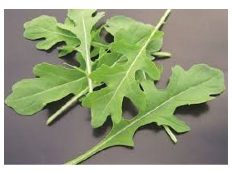 Salat Rocket Uber 50 g