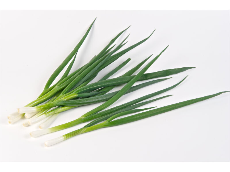 Roheline Sibul Katana 100 000 s