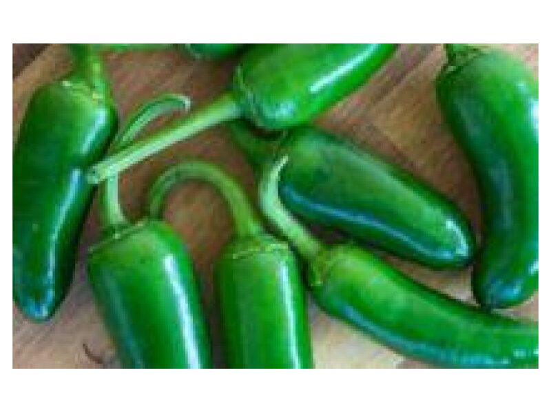 Paprika Jalapeno 100 s