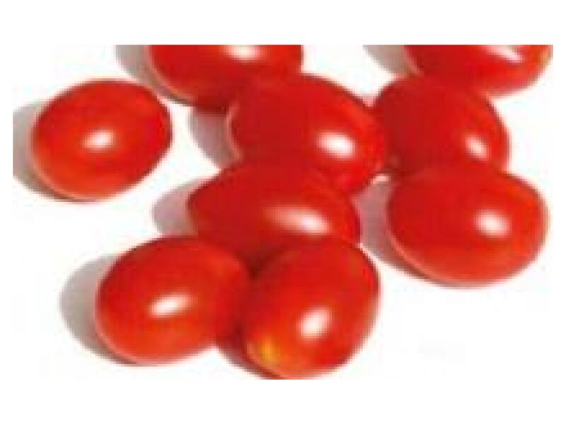 Tomat Mini Star 100 s