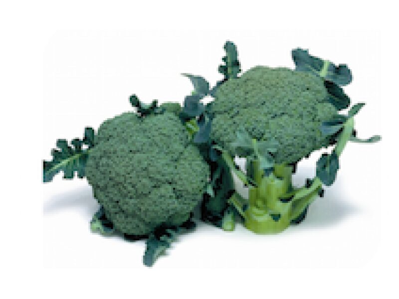 Puhtimata brokoli ´Marathon´ 2500 s