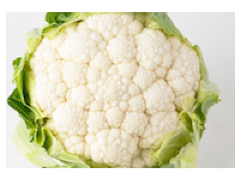 Puhtimata lillkapsas ´Concept´ 2500 s