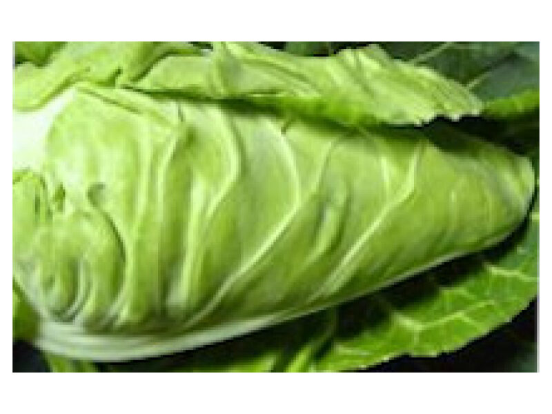 Puhtimata kapsas ´Cape Horn´ 2500 s