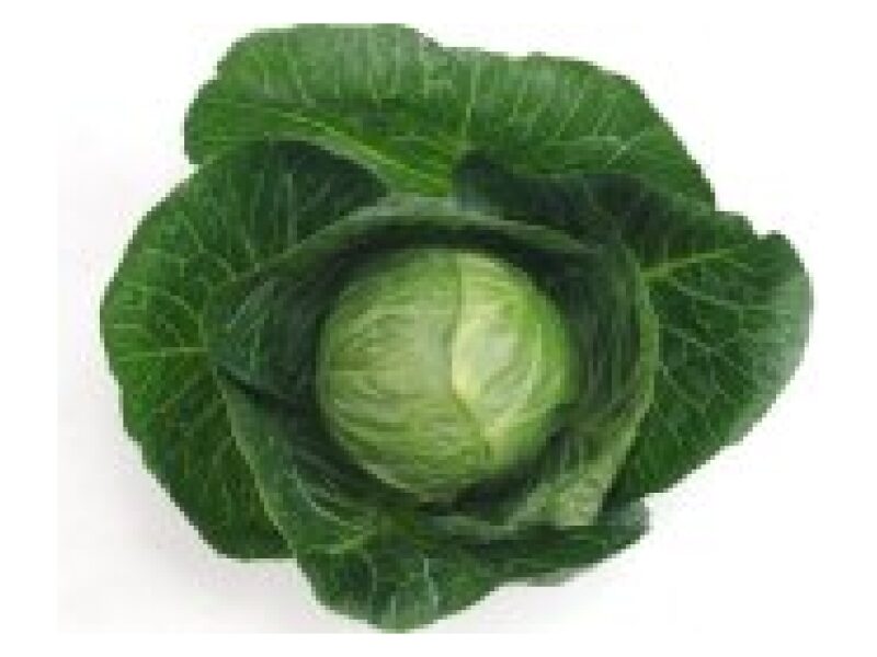 Puhtimata kapsas ´Annelisa´ 2500 s