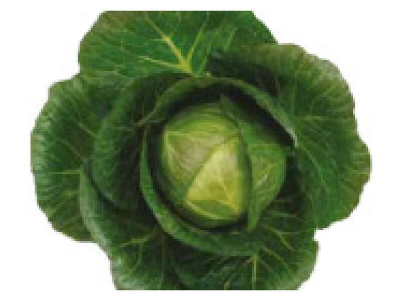 Puhtimata kapsas ´Monalisa´ 2500 s