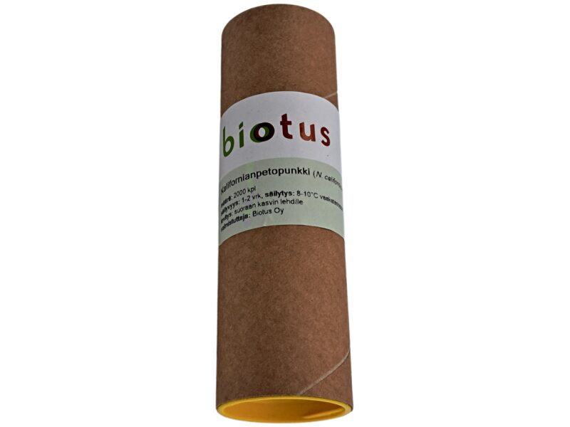 Röövlest A. californicus 2000 tk