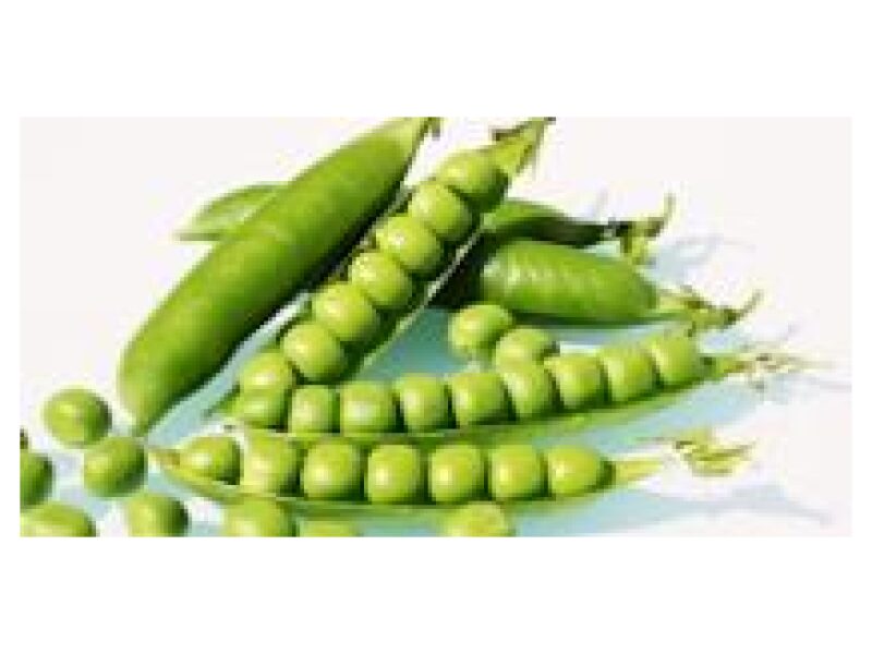 Hernes Avola  puhtimata 50 000 s