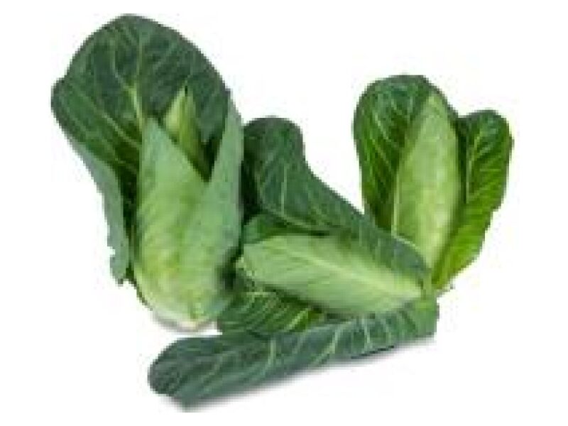 Puhtimata Kapsas Cape Roca 2500 s