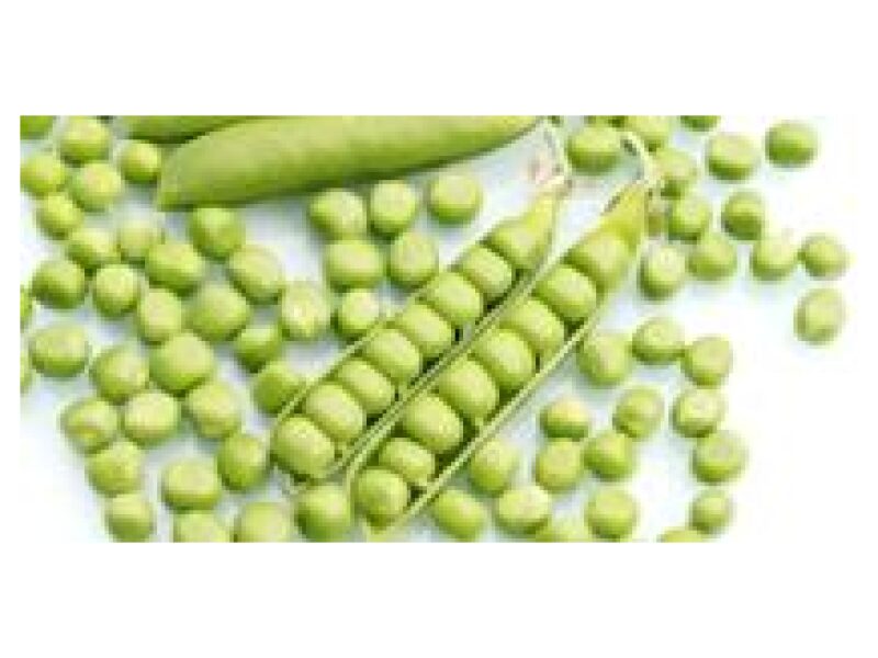 Puhtimata hernes Maxigolt 50 000 s