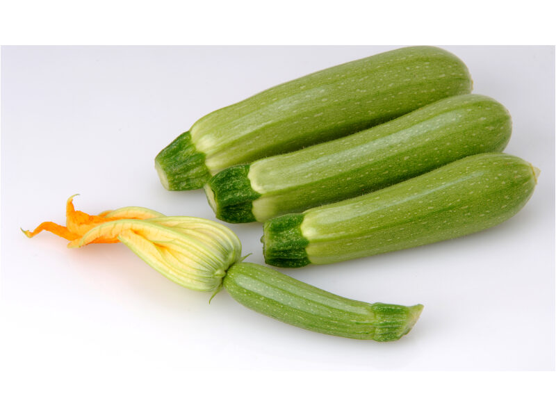 Suvikõrvits Suha 500 s