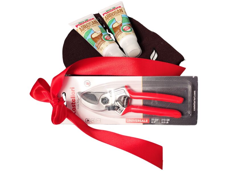 Jõulukomplekt aiakääridega