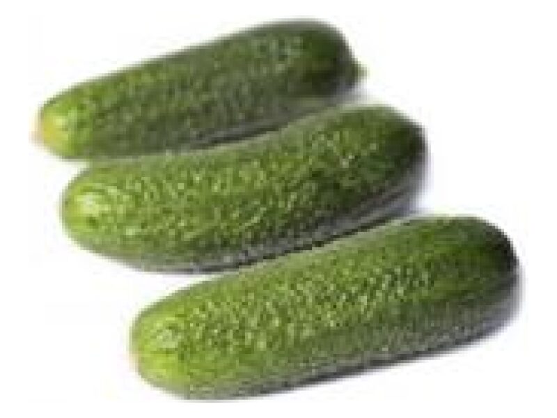 Lühike Kurk Trilogy 100 s