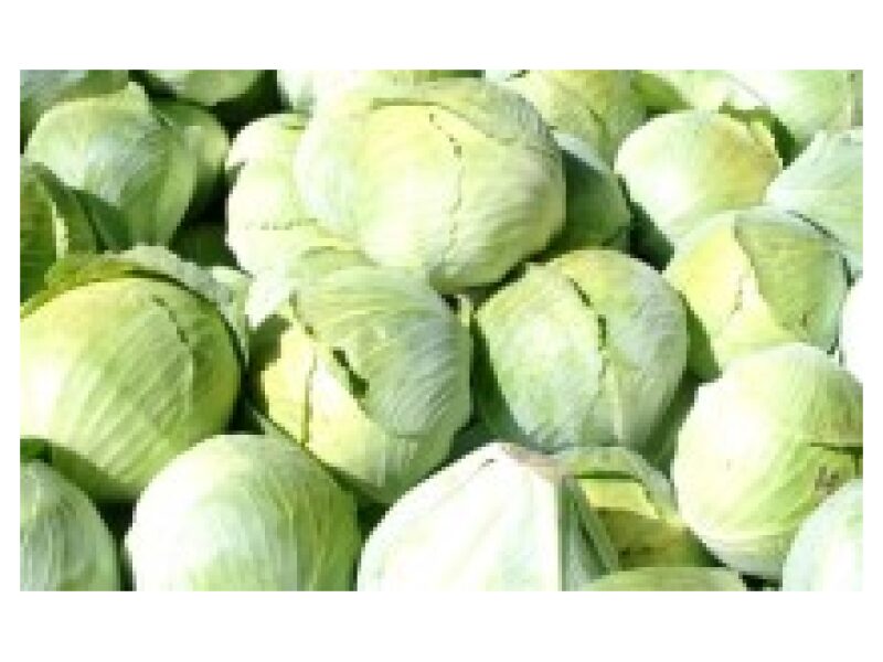 Kapsas ´Storema´ 2500 s