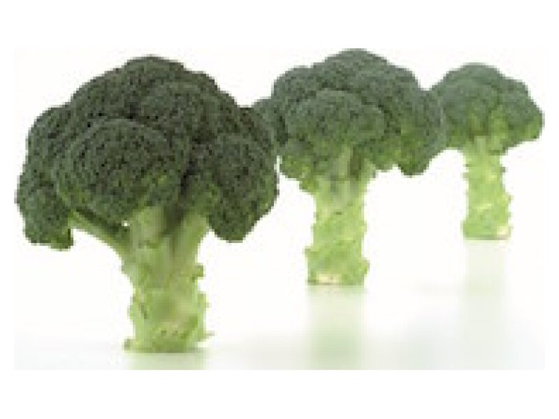 Brokoli ´Naxos´ 2500 s