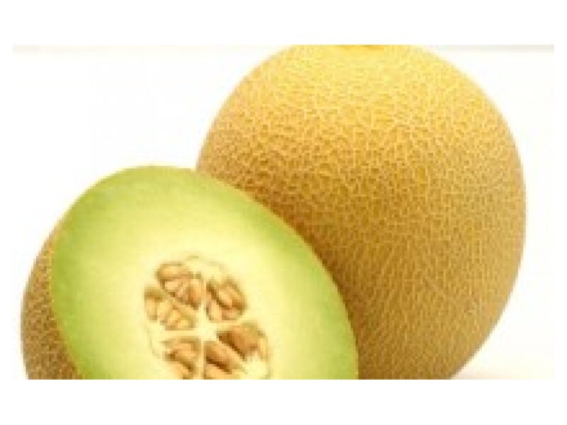 Melon ´Jucar´ 100 s