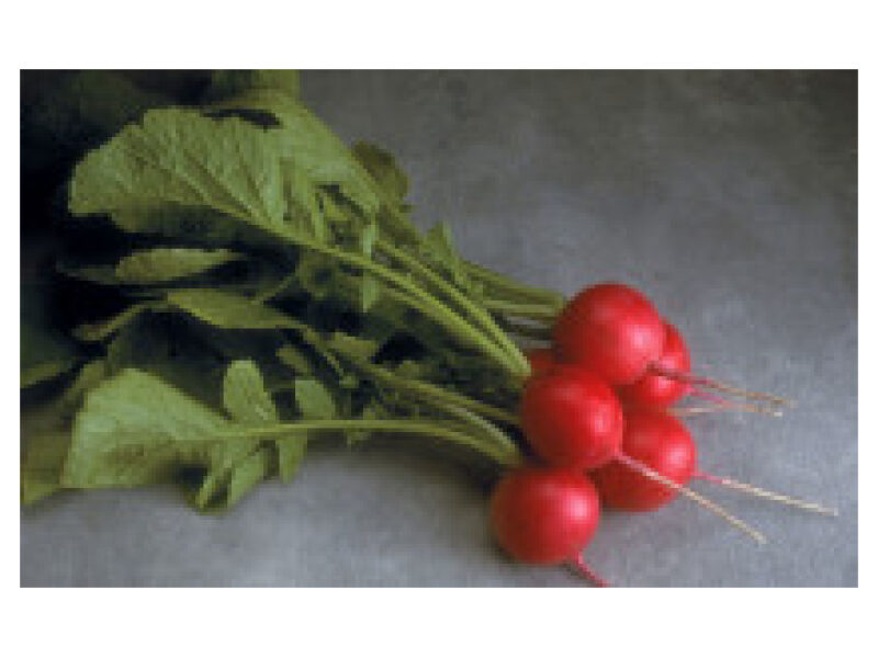 Redis ´Cherriette´