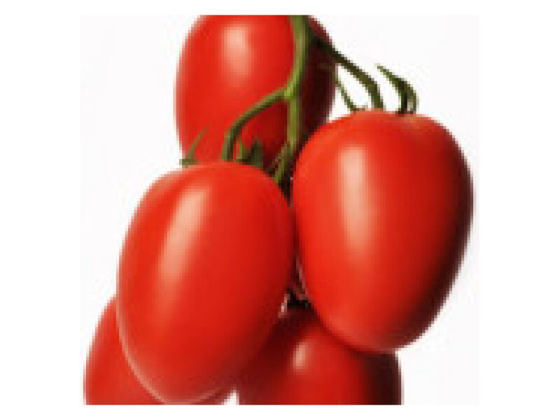 Tomat ´Tucano´ 250 s