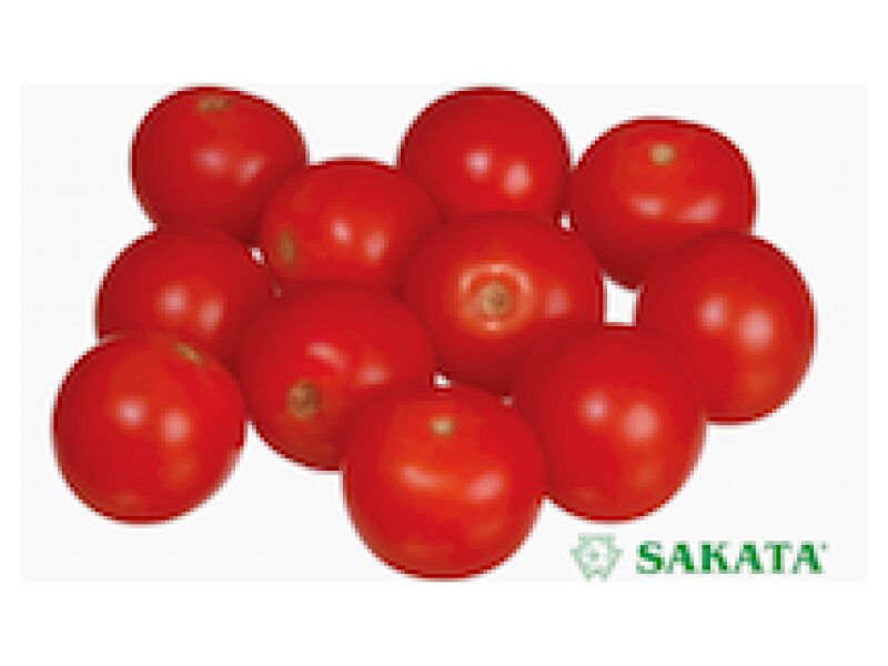 Tomat ´Sweet Million´ 250 s