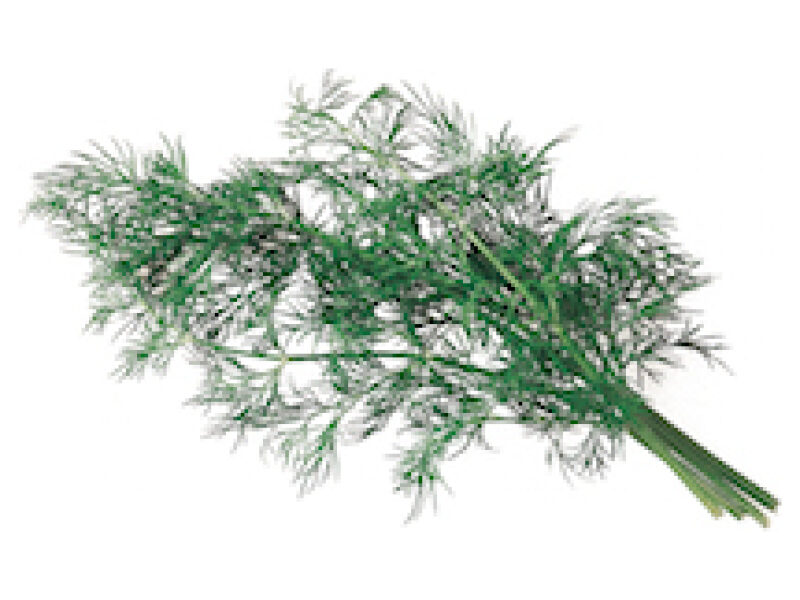 Till ´Mammut ´100 g