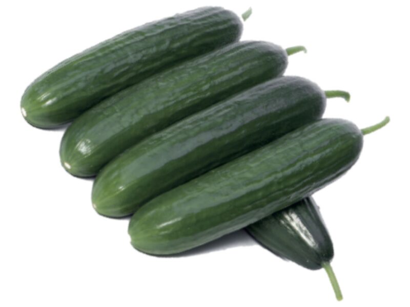 Kurk ´Laheeb´ 250 s