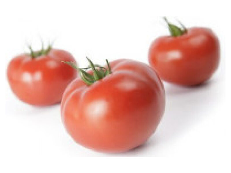 Tomat ´Mahitos´ 100 s