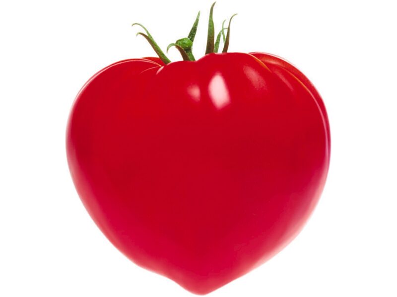 Tomat ´Gourmandia´ 250 s