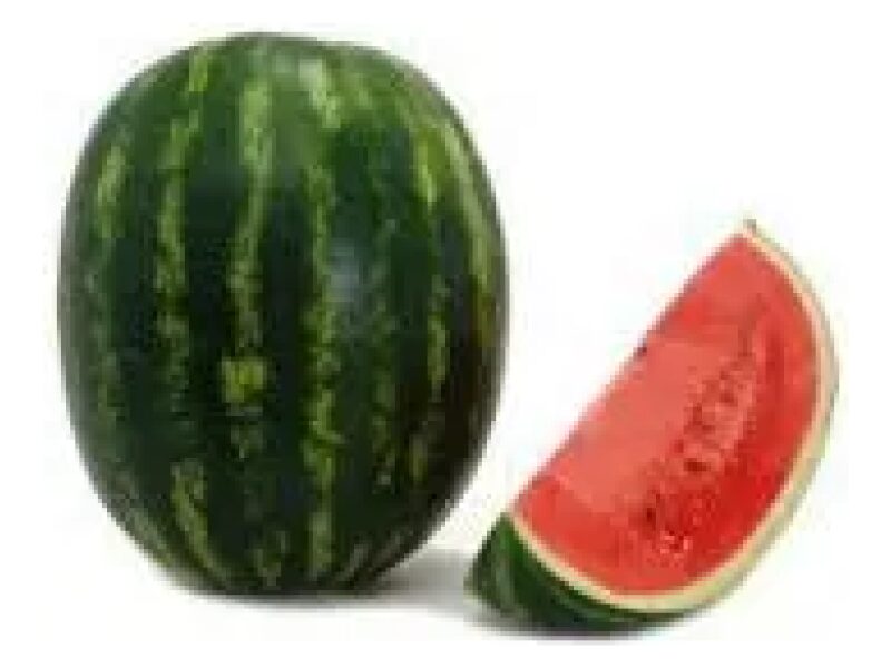 Arbuus Capitol 500 s