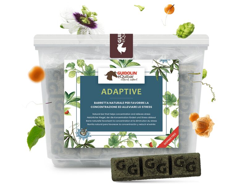 Guidolin Equibar Adaptive 600 g