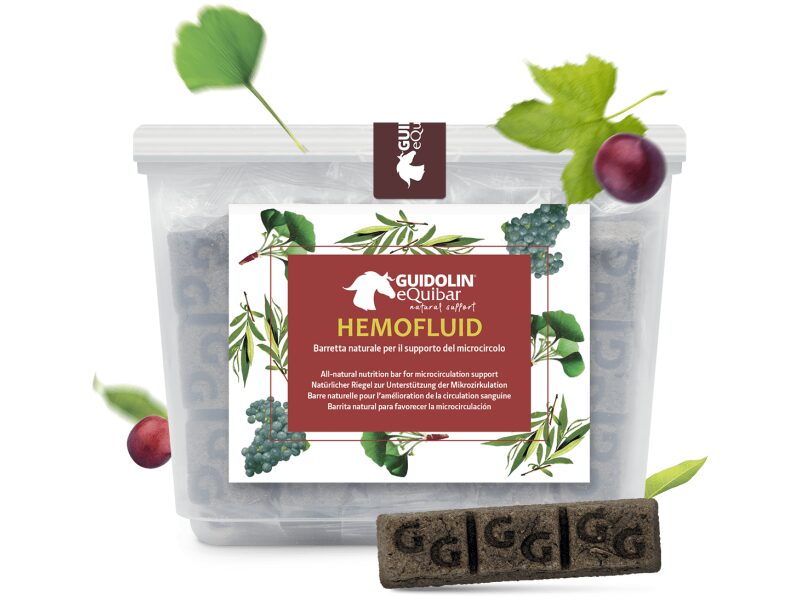 Guidolin Equibar Hemofluid 600 g
